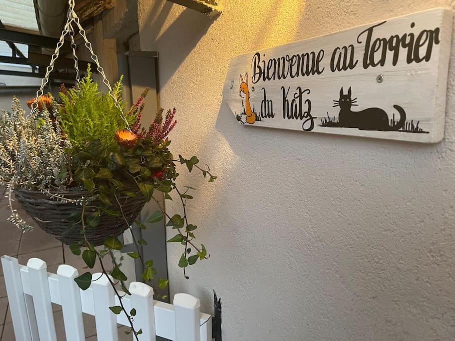 Le Terrier Du Katz Apartment Dabo Ngoại thất bức ảnh